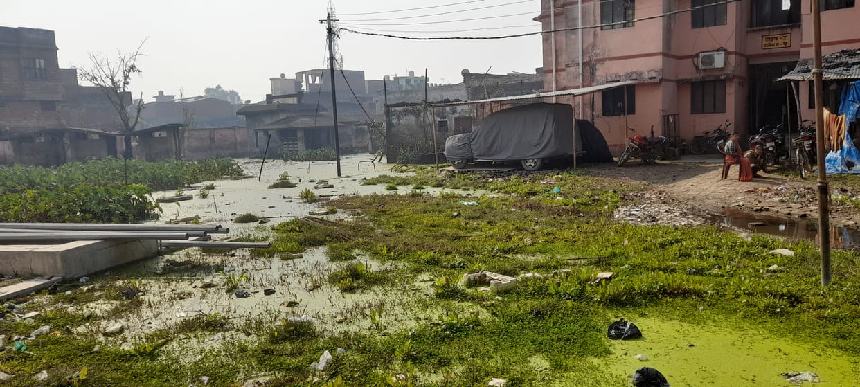 election,waterlogging,opinion