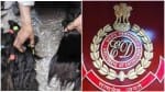 बालों की तस्करी से जुड़े मामले में ईडी का बड़ा खुलासा।
