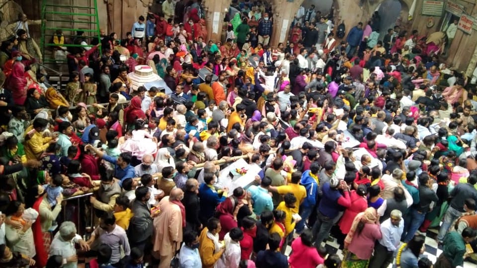 Devotees celebrated Valentine's Day with offered flowers in Banka Bihar Mandir Vrindavan in Mathura