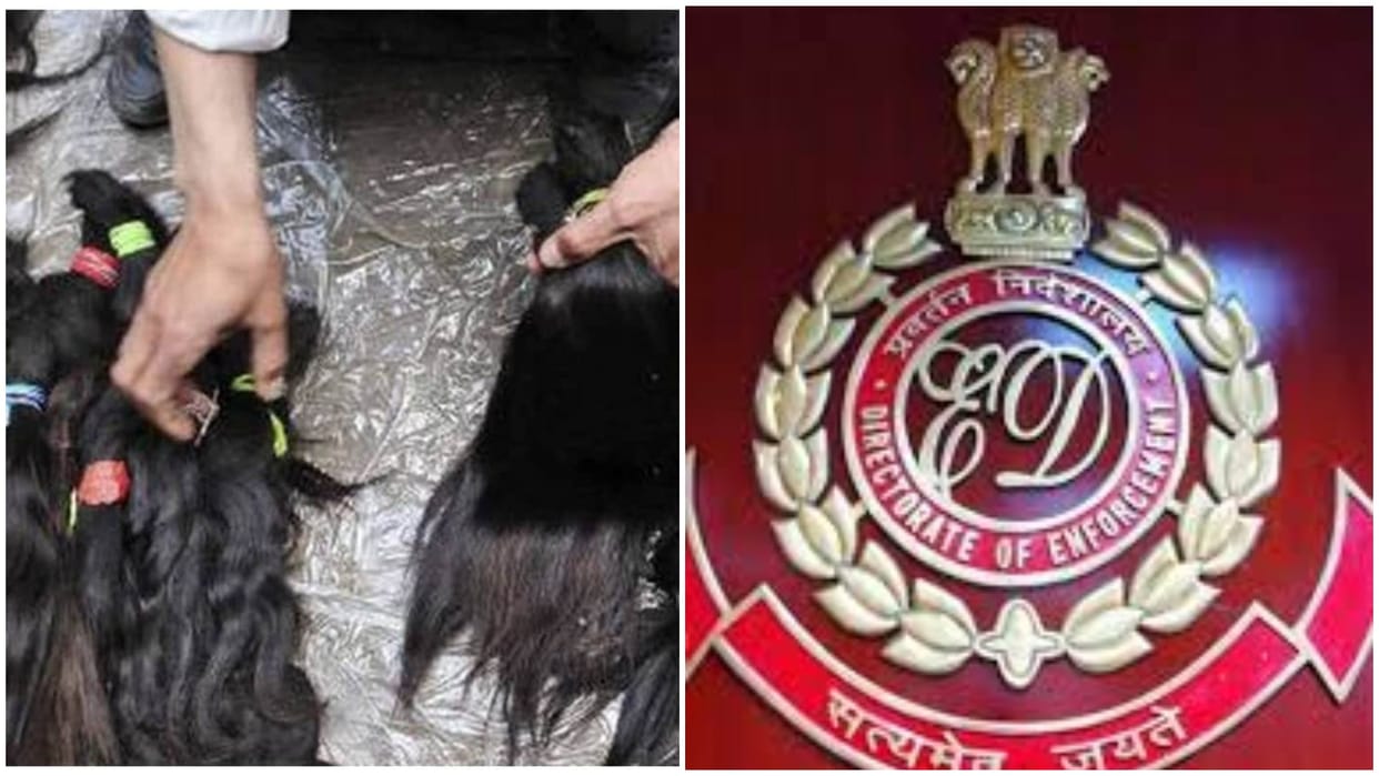 ED busts money laundering ring linked to human hairs smuggling to China news and updates