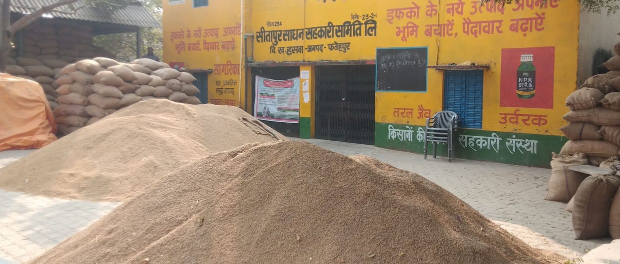 fathepur news,Farmers wandering for payment by selling paddy
