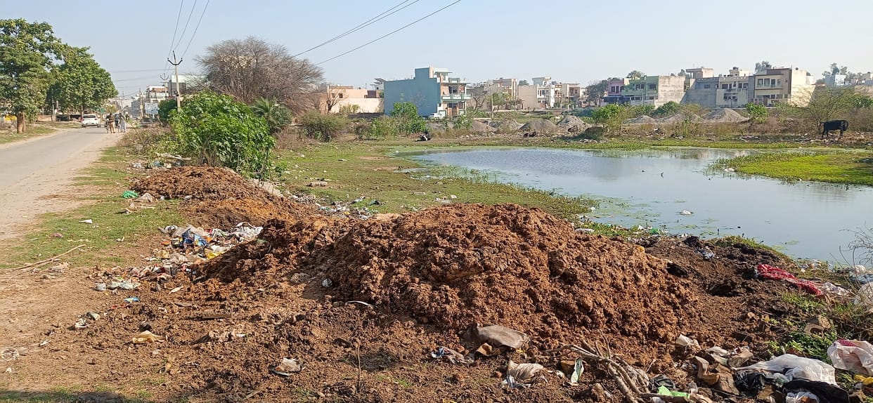 No ban on milk dairies, drains choked with cow dung , Kurukshetra