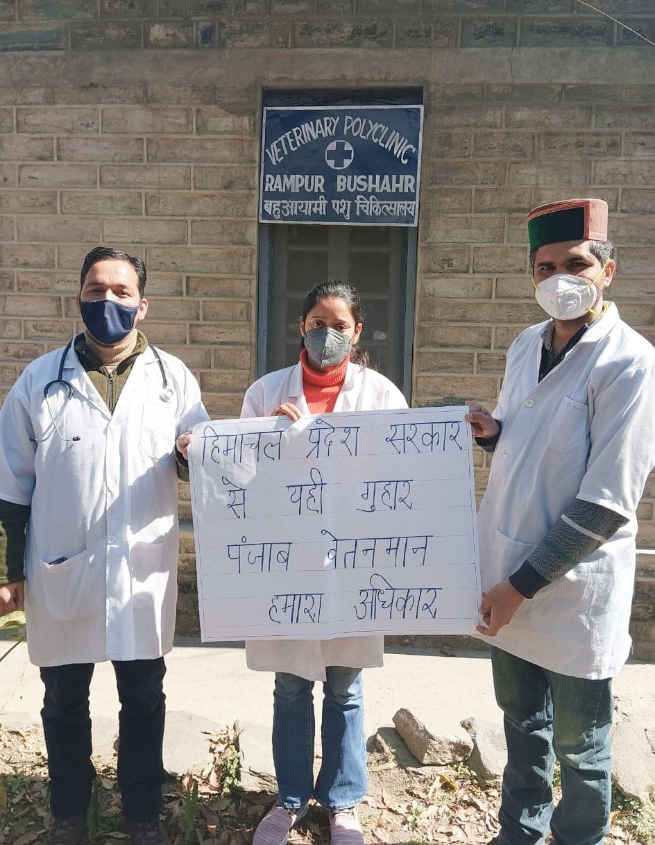 vetrnery doctor protest for pay scale