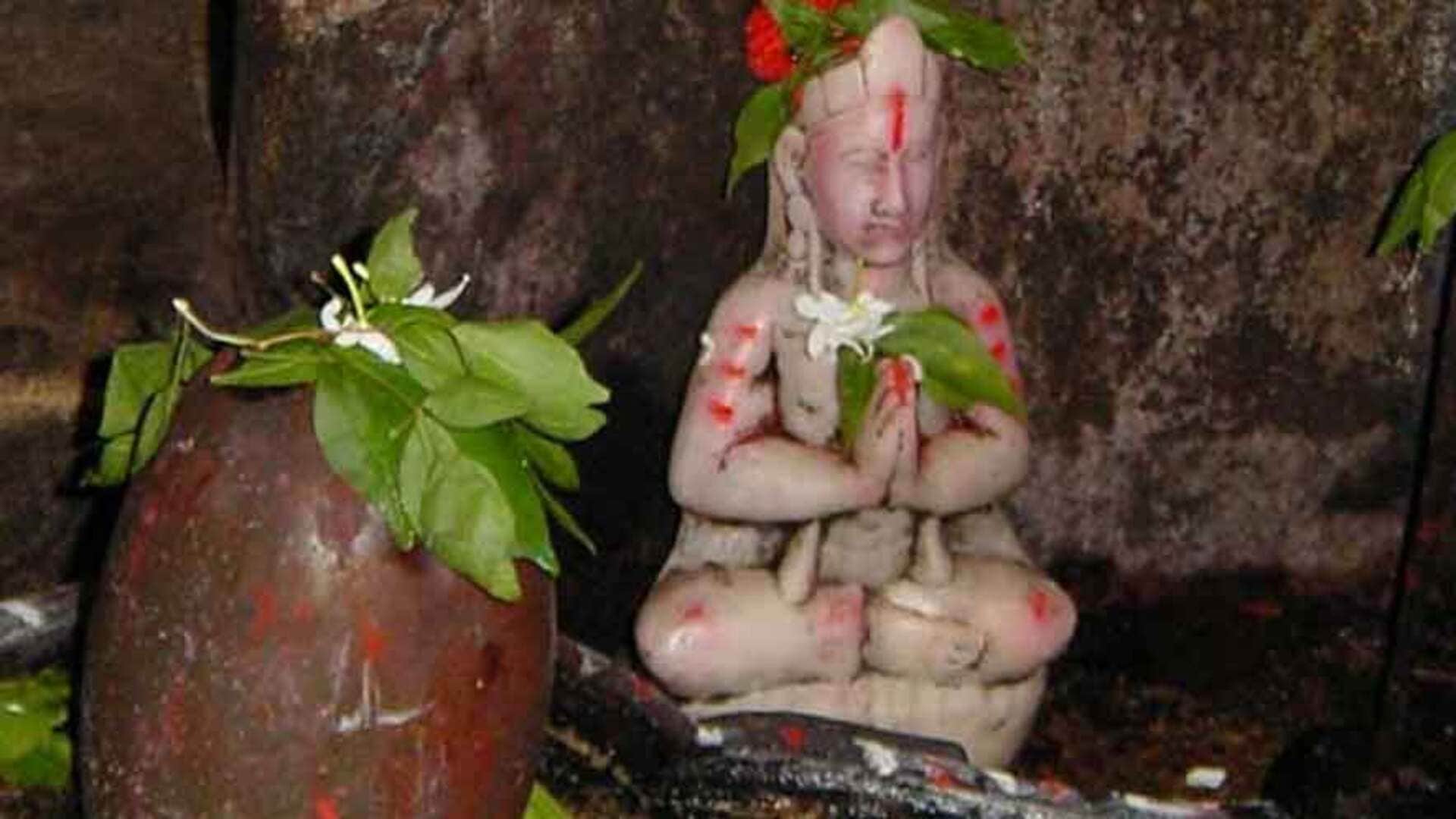 Chawal Ke Upay Offer Raw Rice On Shivling For Money Know Rules In Hindi