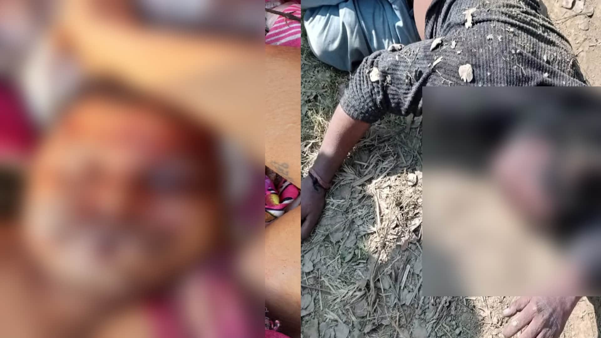 UP Crime News: dead body of two youth have found in forest in village of Meerut city and see photos