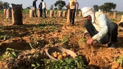 UP election 2022 ground report to Kannauj: Former IPS Asim Arun said, SP and other parties give tickets to criminals, but BJP gives opportunity to a police officer in politics