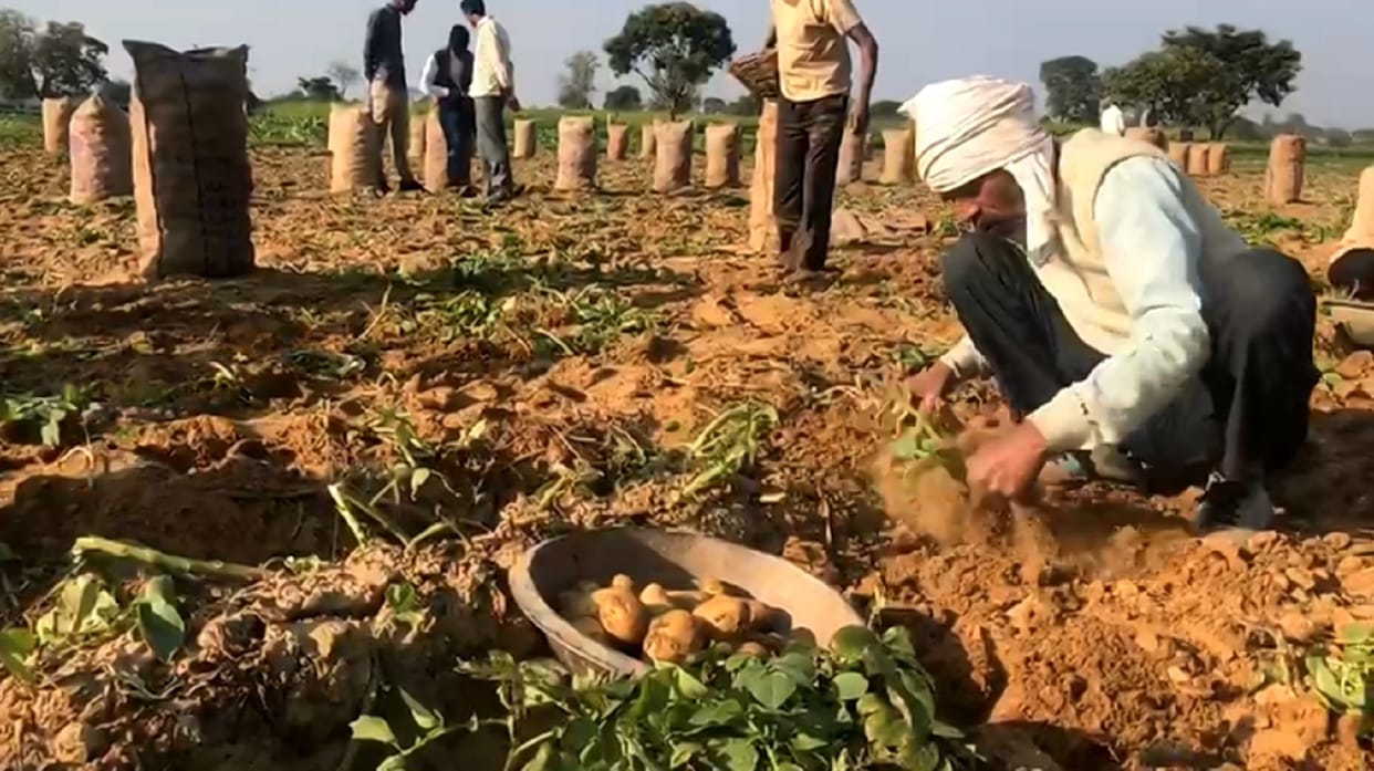 UP election 2022: Now the election is reaching the potato-wheat belt, farmers are angry on goverment policies, there demand for reducing production prices, new cold storages and promoting agro-product processing industries are unheard