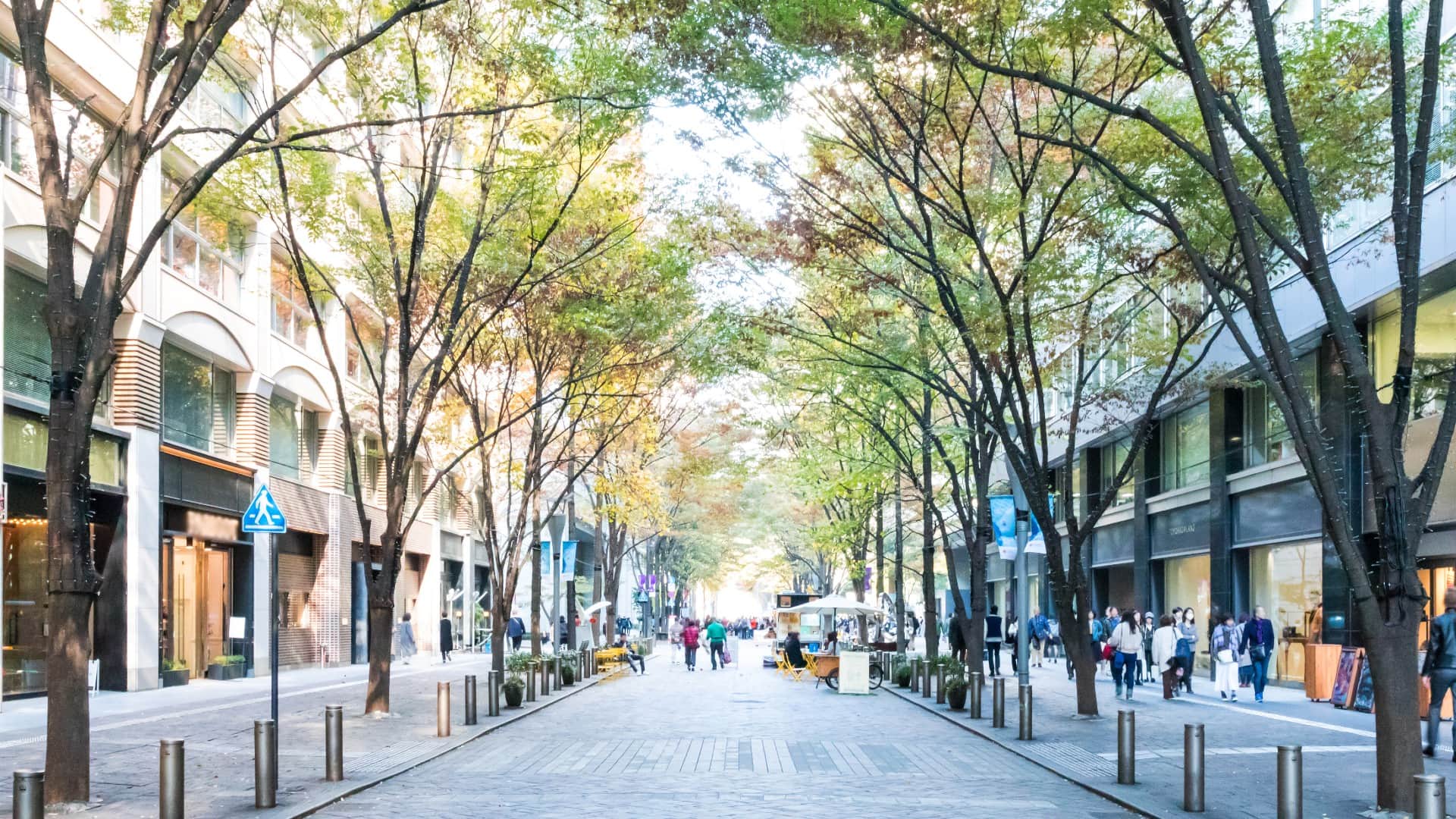 Blue Road Country Why Qatar Roads Turned Blue