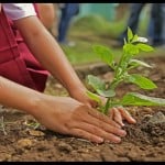 Meri Mati Mera Desh Abhiyan nine departments and District Magistrates will Run Campaign In Uttarakhand