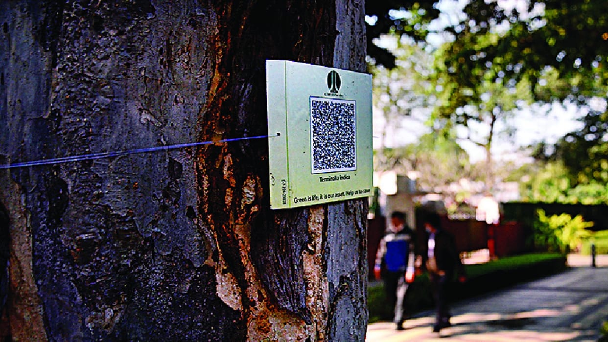 Now the tree will tell its name, specialty and age, QR codes are being fixed in delhi