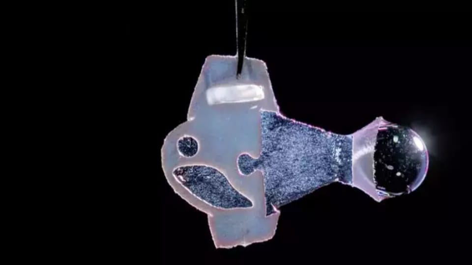 Scientists make artificial fish from human heart cells
