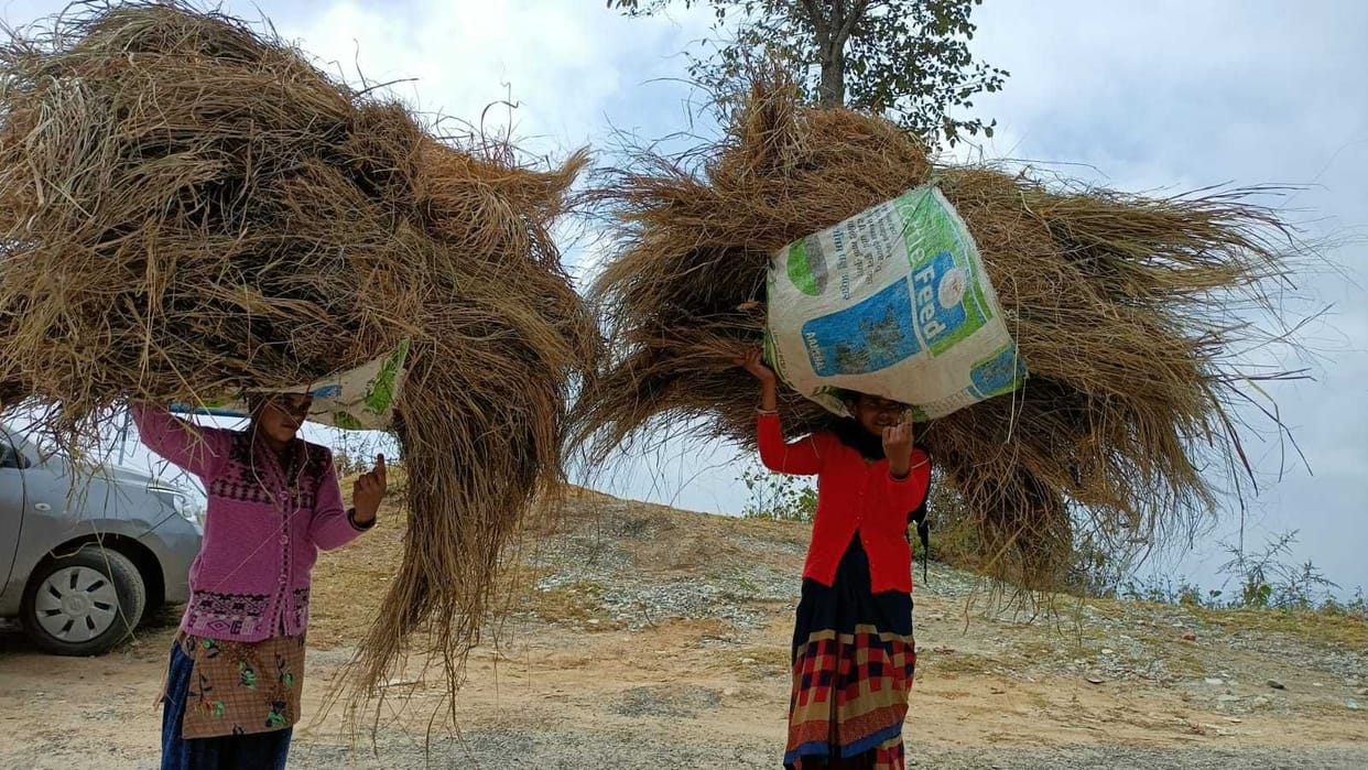 Voting by Rural Voman in Champawat