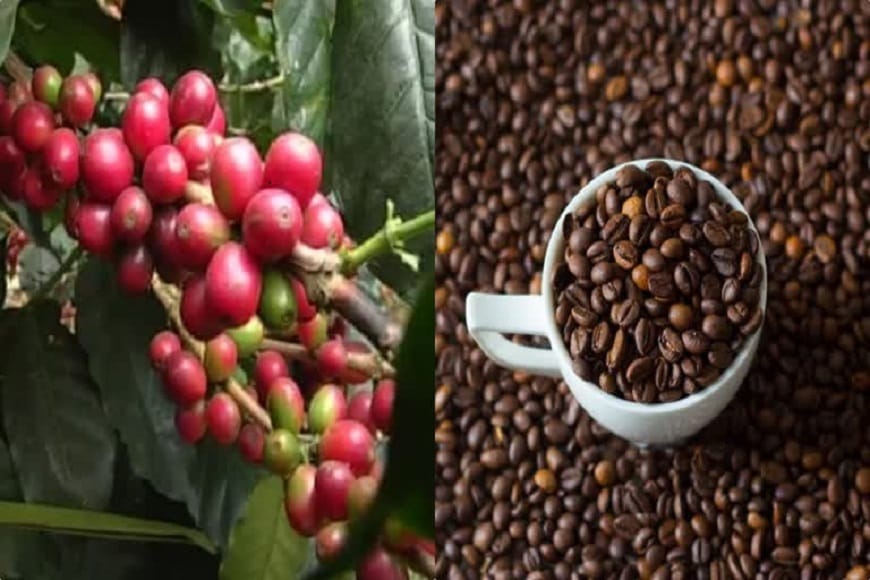 Bastar Cafe will soon open in Raipur and Delhi