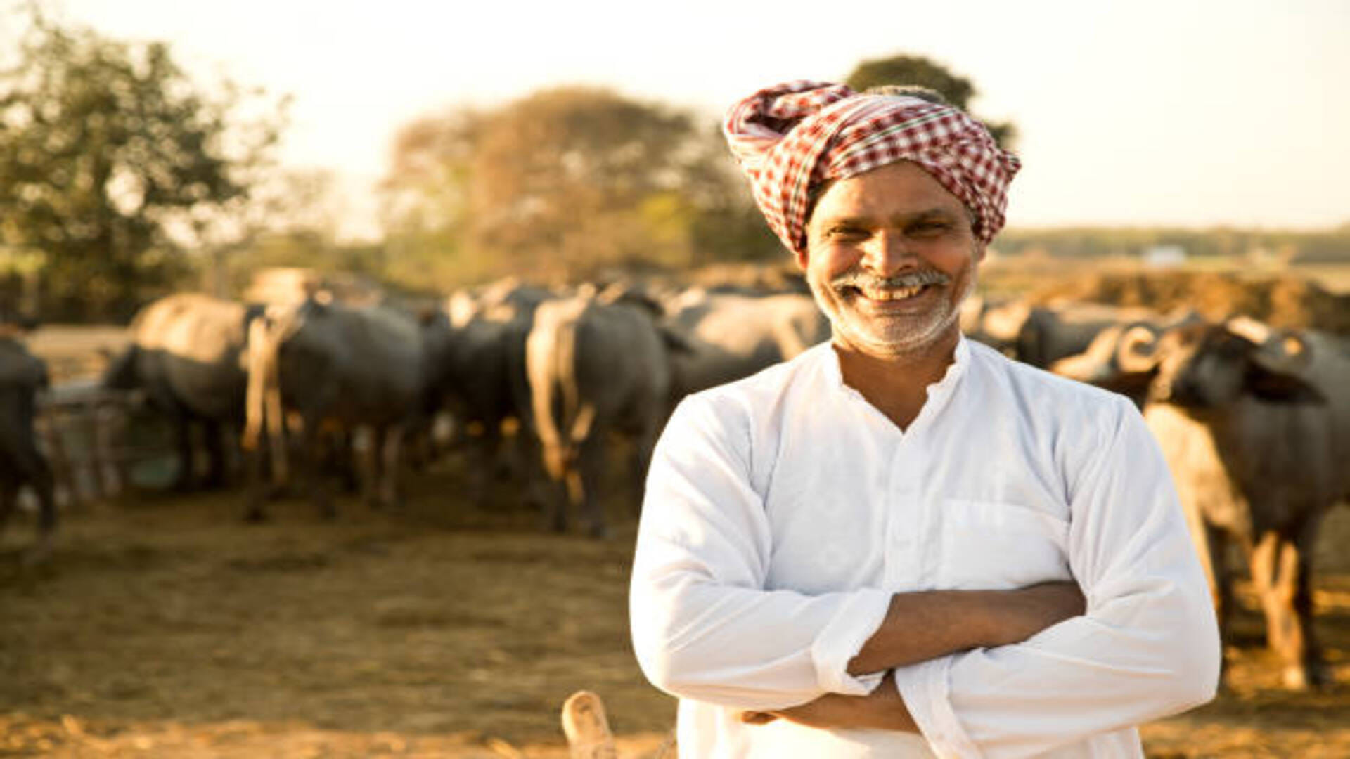 Business Ideas in hindi Start these five business with farming and get high profit