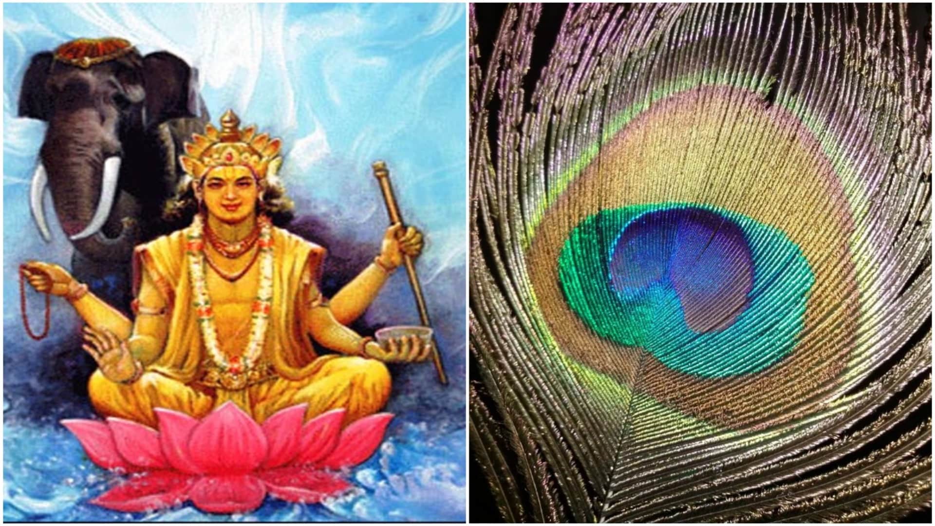 Vastu Shastra If You Follow These Vastu Tips It Will Be Easy to Get a Good Job News in Hindi