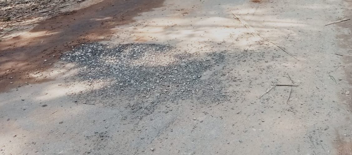 Difficult task to pass through the main road of Khaikhedi