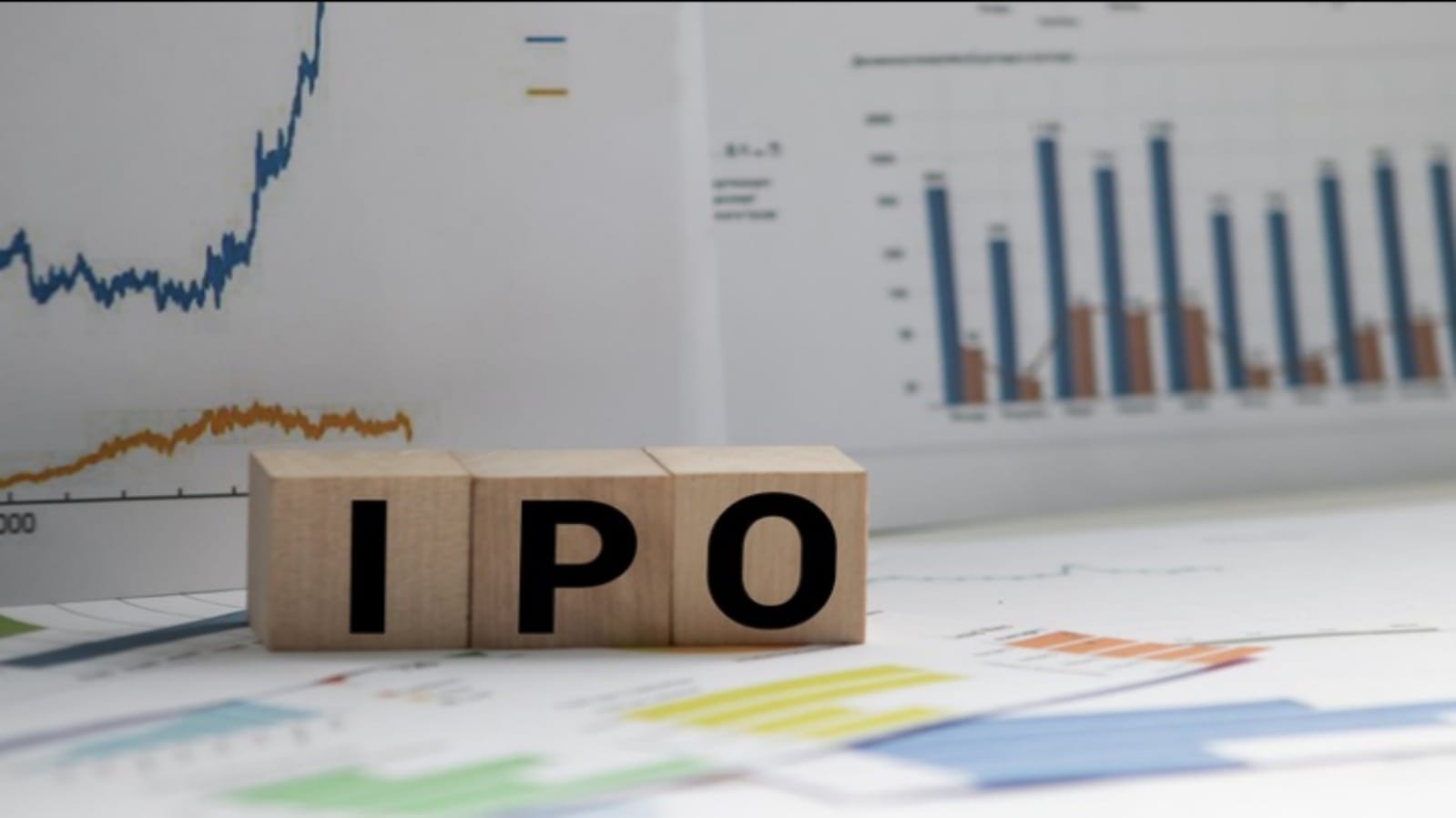 LIC IPO Keep These Things in Mind Before Investing In LIC IPO News in Hindi