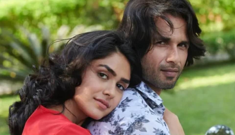 Shahid kapoor to mrunal thakur know about jersey star cast fees detail film collection