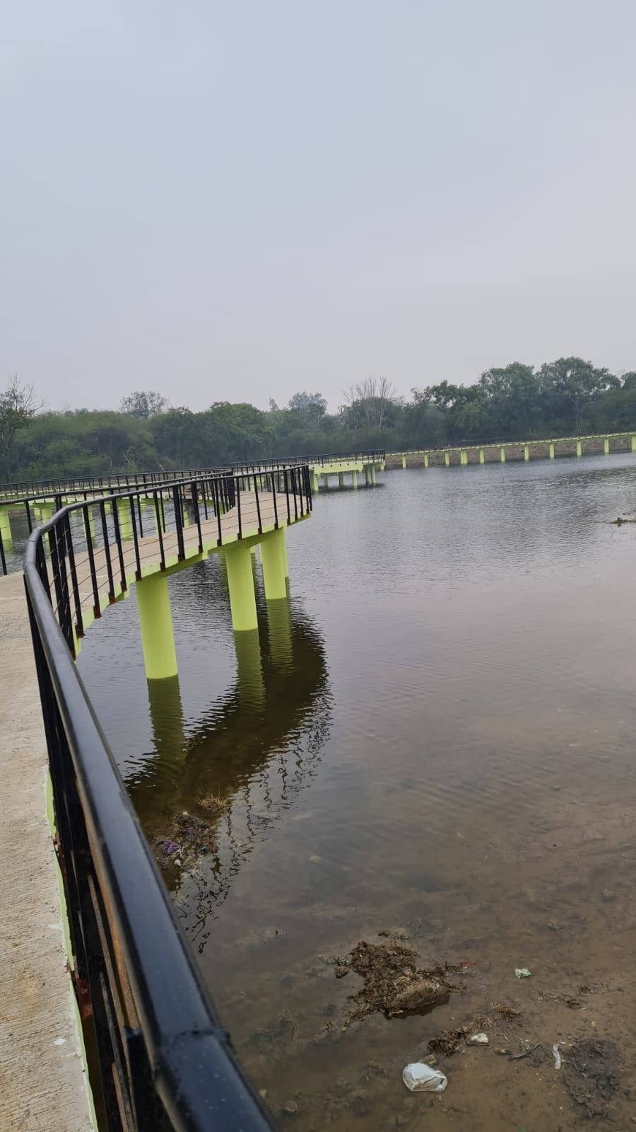 Sea waves will be felt on the banks of the wetland