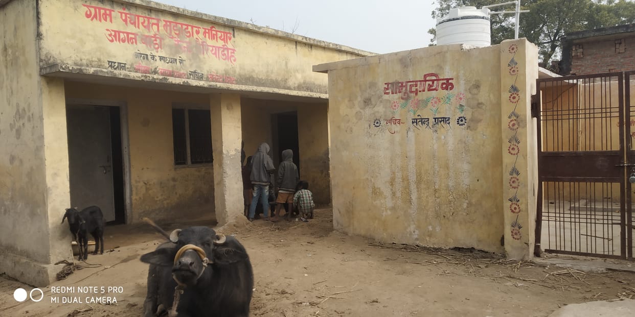 Buffalo, goat being tied in Anganwadi center