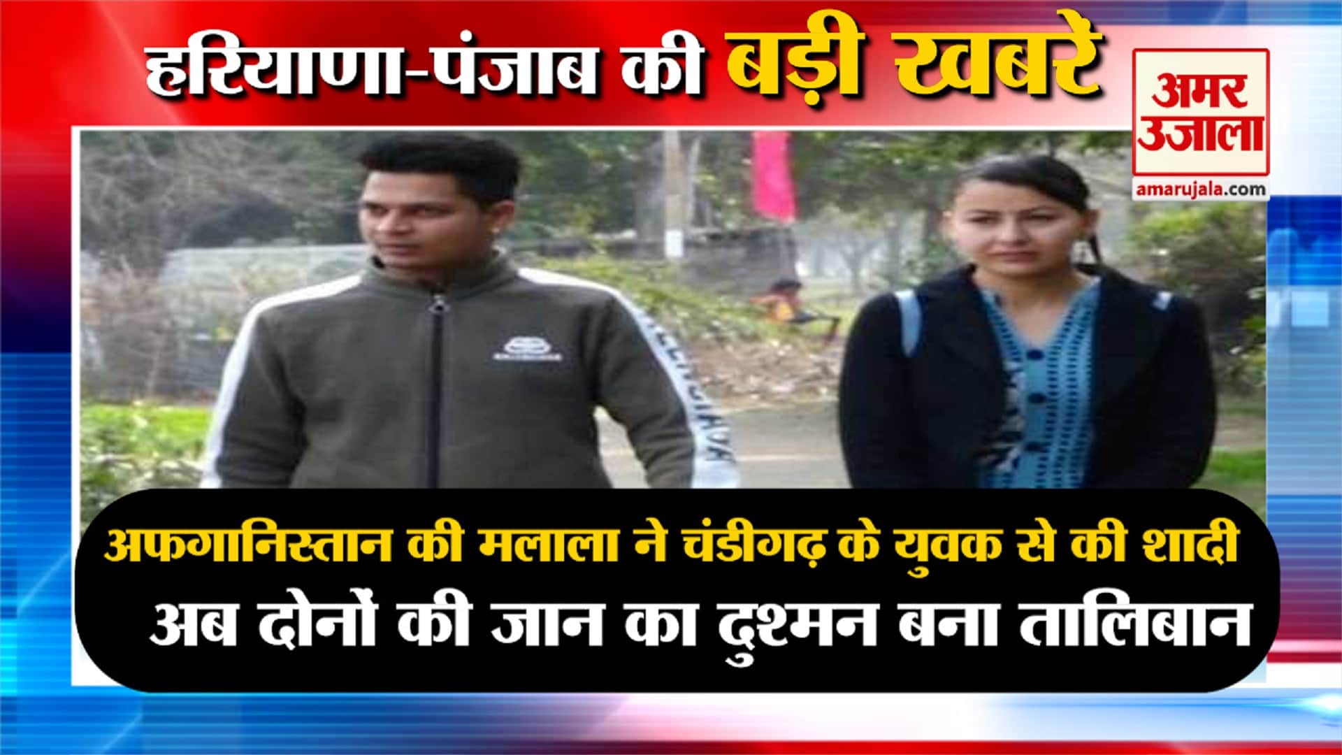 हरियाणा न्यूज