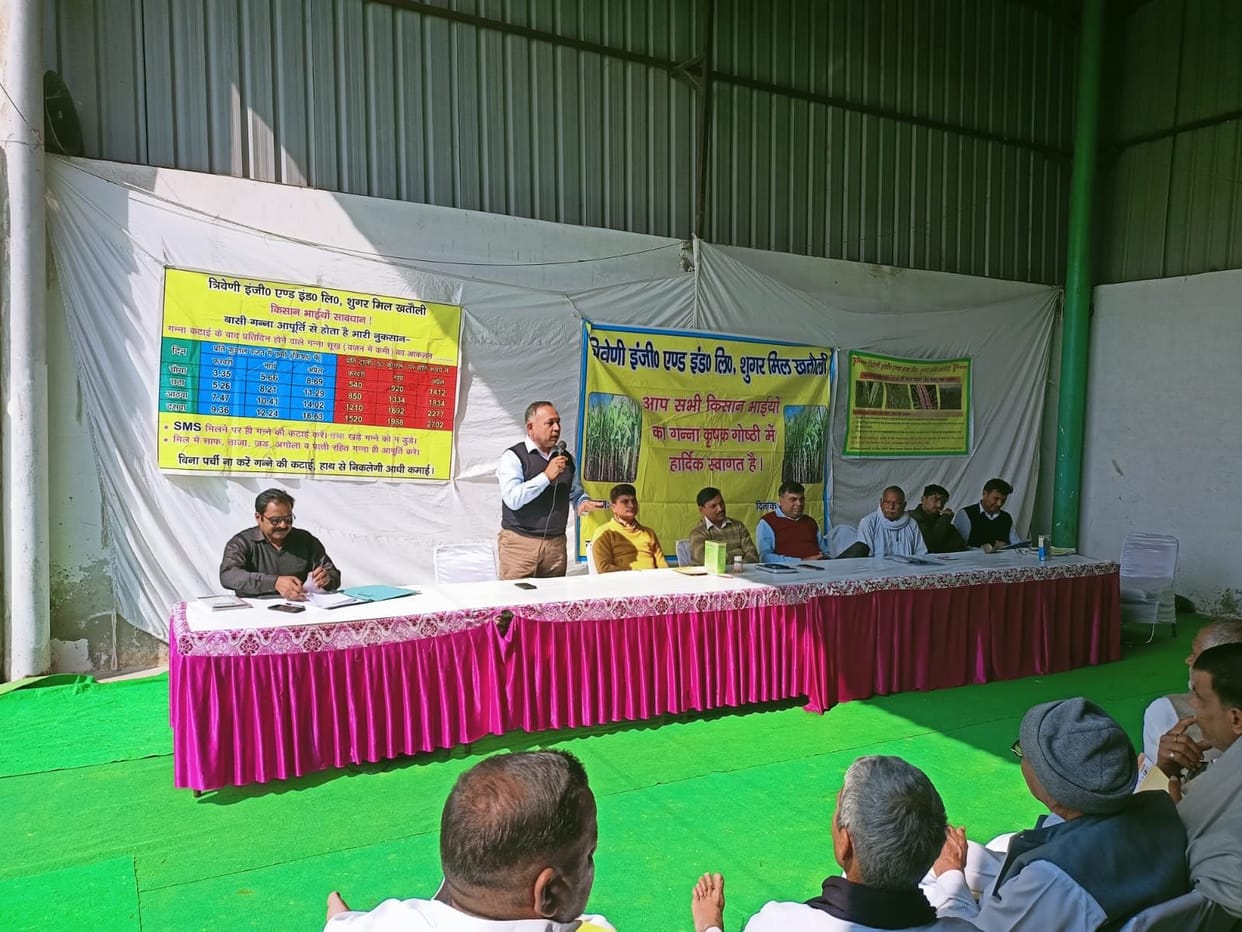 Tips to protect sugarcane from disease