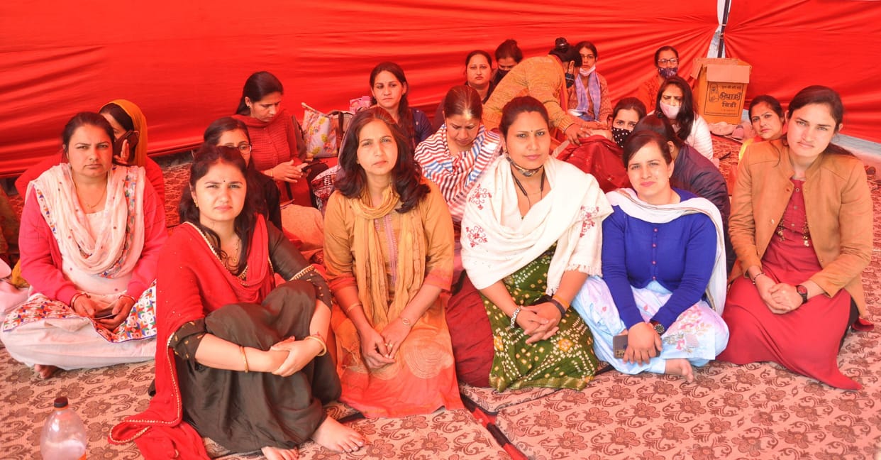 Jat College administrator canceled orders to remove 112 extension lecturer, protest ended