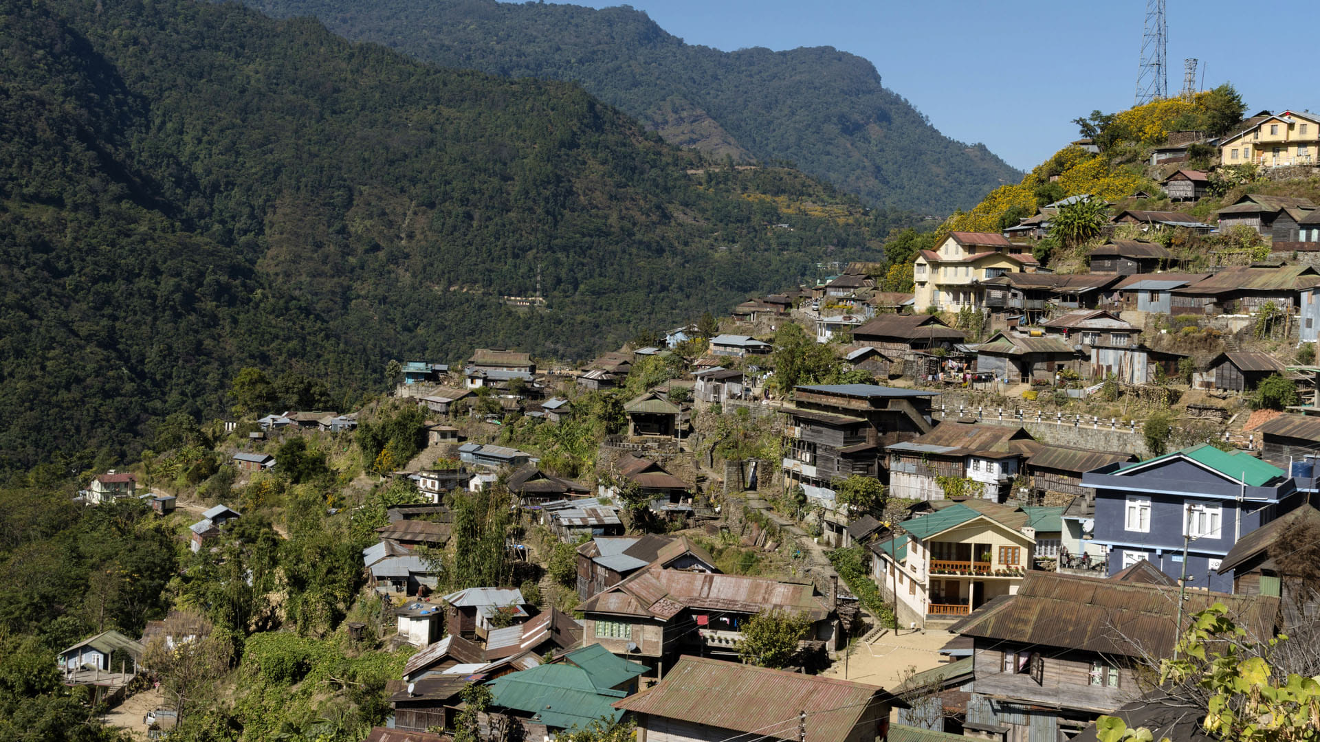 most interesting story of unique village Longwa in india where peoples bedroom in one country and kitchen in another country