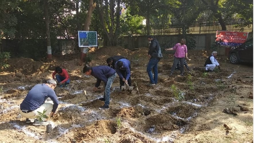 Planting done with Miyawaki technique in primary school dwarka delhi