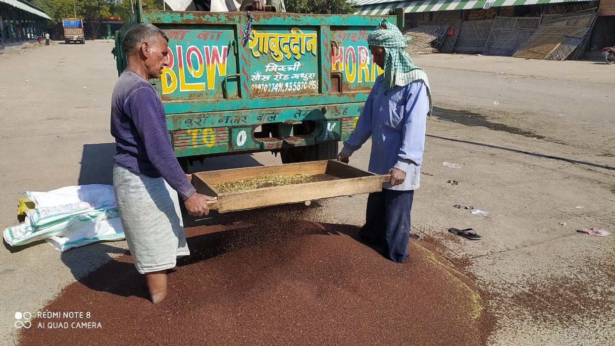 Mathura: Knocking of new mustard in the market, the farmers' faces brightened after seeing the price