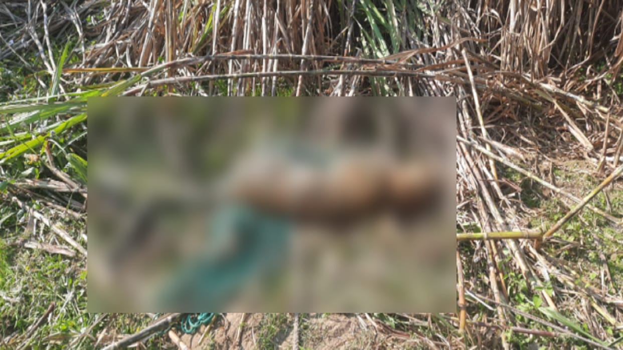 Bijnor News: A guldar died due to trapping in village