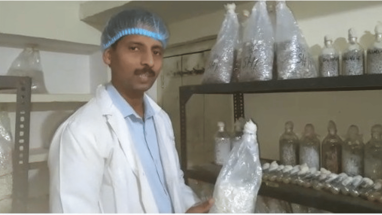 Mushroom farming is making rich: Gwalior professor quits job and starts farming, annual income up to 50 lakhs