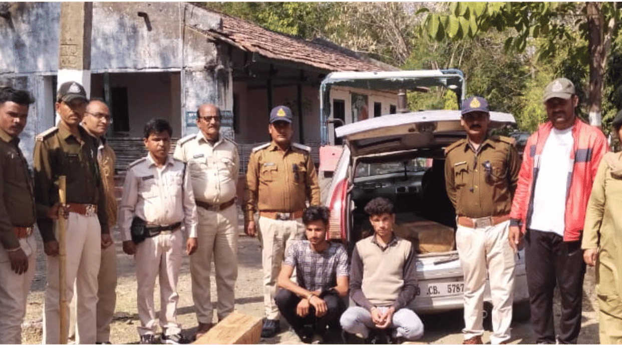 Sehore: Two accused arrested for illegal smuggling of teak, forest staff seized 10 ingots