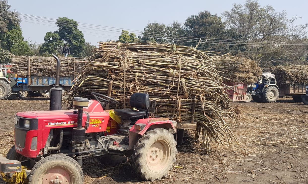 Slips are not available, how to sell sugarcane