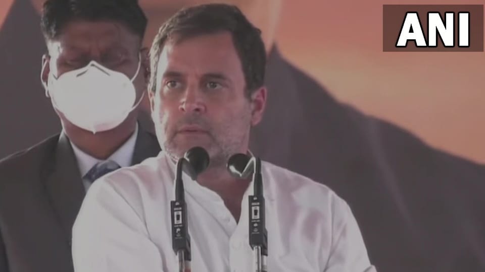Congress Leader Rahul Gandhi campaign in Punjab 