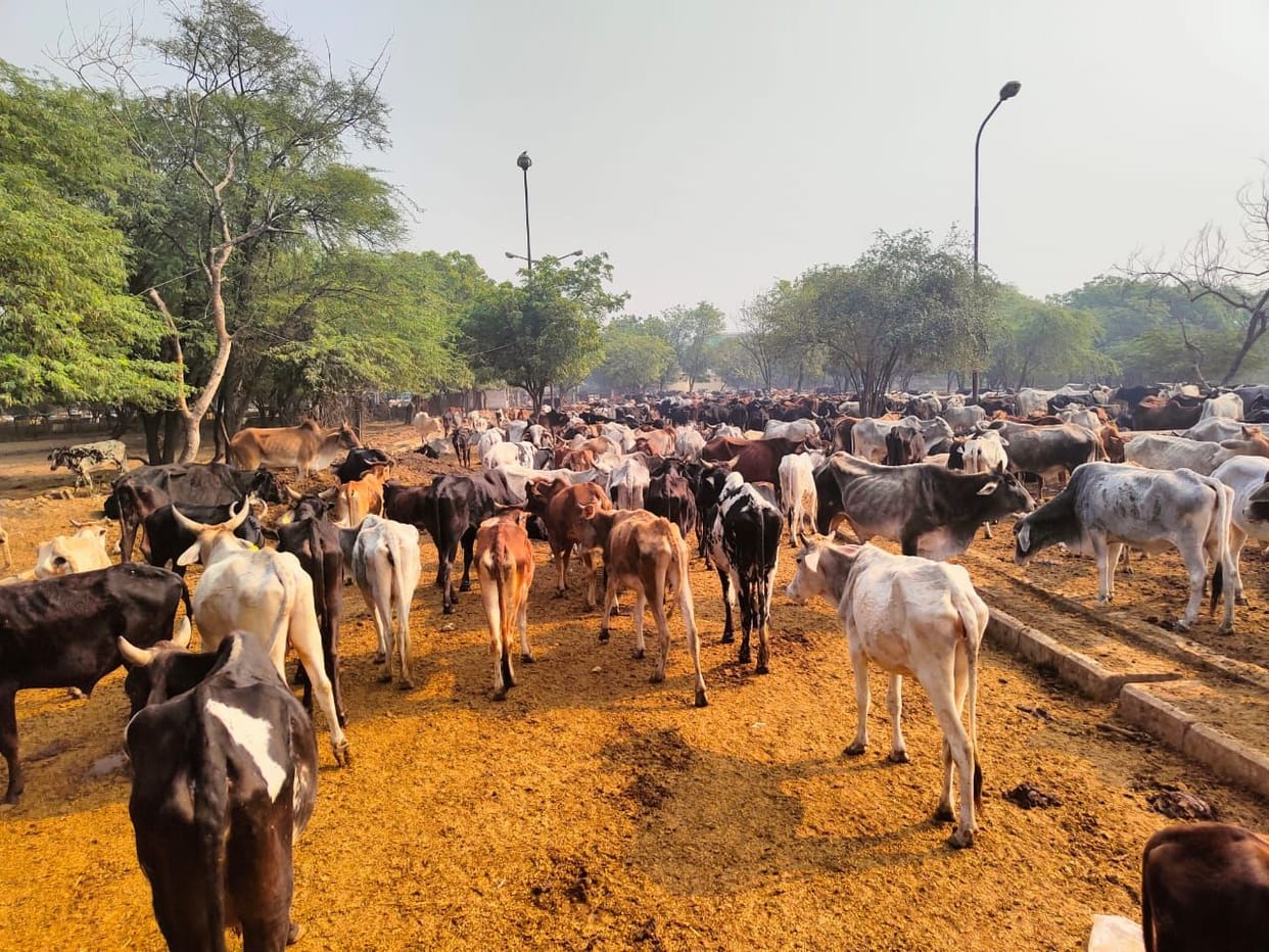 Hathras: People's life is difficult due to foul smell emanating from Parag Dairy