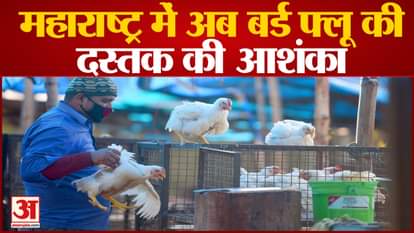 bird flu scare in maharashtra after 1000 chickens death in thane