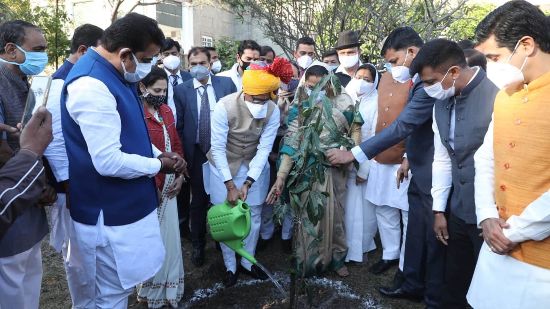Chief Minister Shivraj Singh Chouhan's tree plantation campaign one plant a day completed one year,