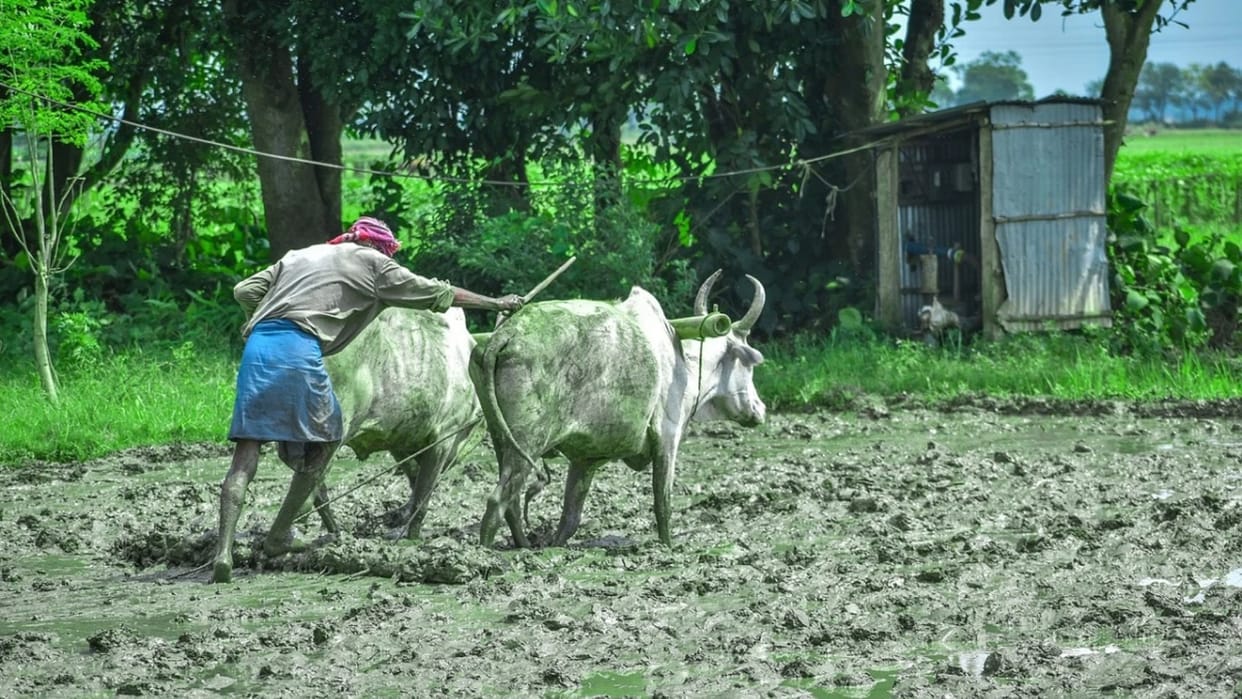 Retail inflation for farm and rural workers rises in January