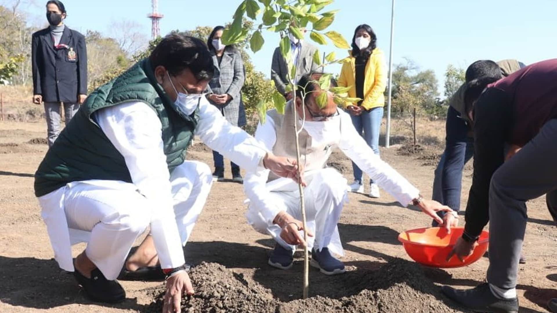 Chief Minister Shivraj Singh Chouhan's tree plantation campaign one plant a day completed one year,