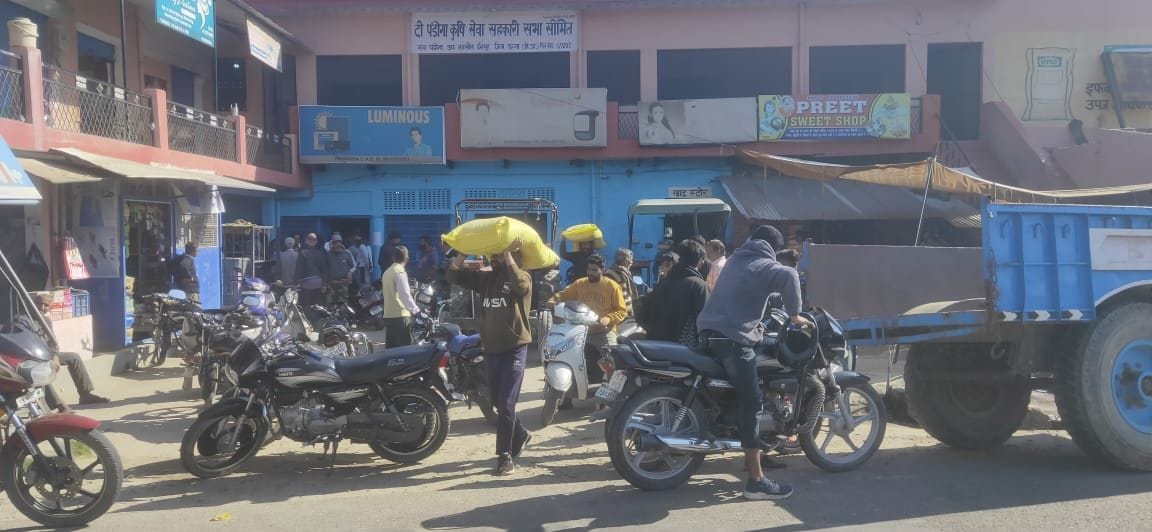 demand of urea increasing in una district- farmers purchages 300 bag in padoga socaity