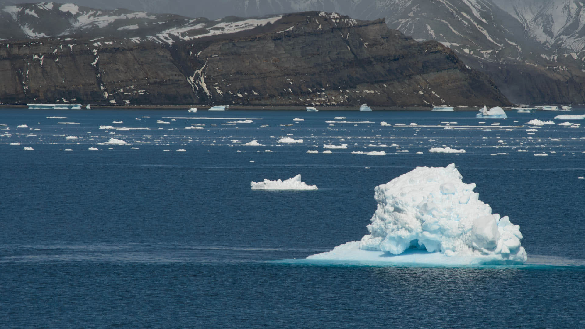 Chanakya Niti in Hindi Motivation Thought for successful life in hindi