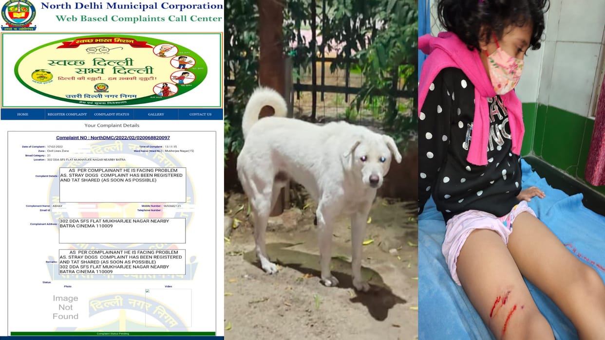 Delhi: Dog terror in Mukherjee Nagar bitten a six-year-old girl 50 complaints received in a day