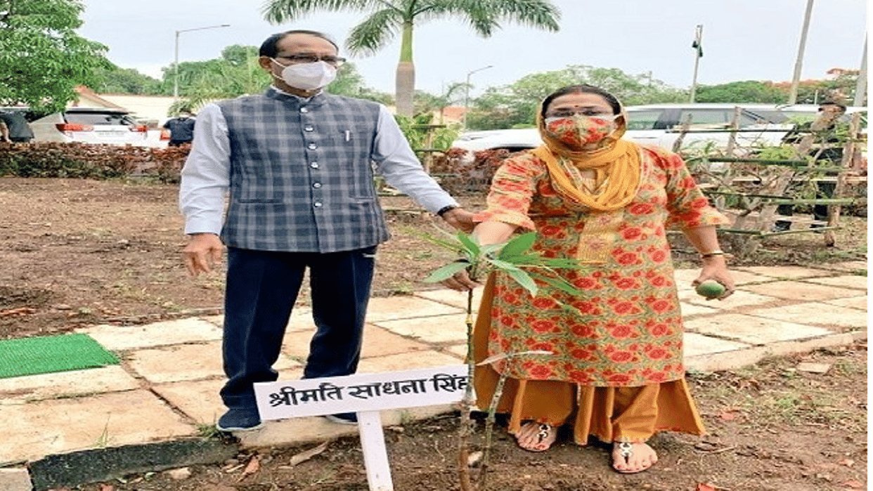 Chief Minister Shivraj Singh Chouhan's tree plantation campaign one plant a day completed one year,
