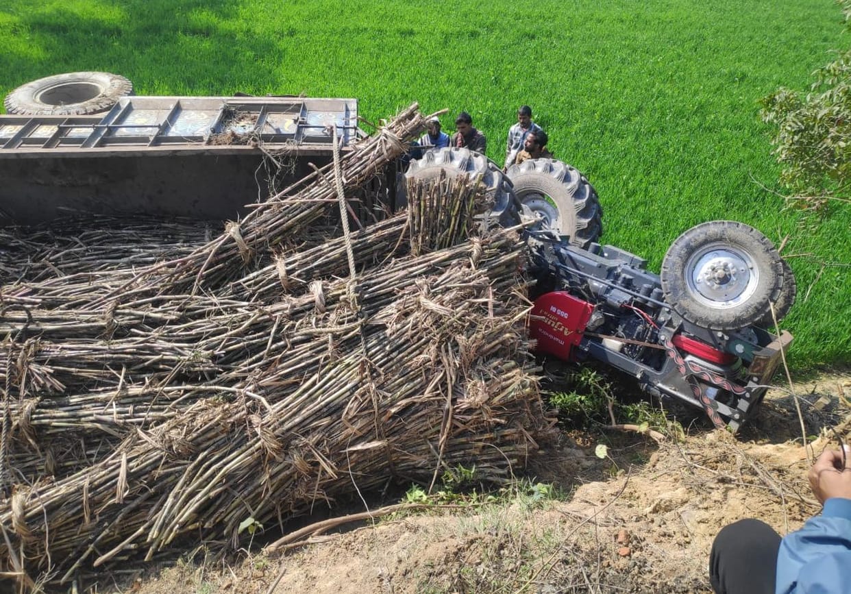 Tractor trolley overturned, hanging on tree