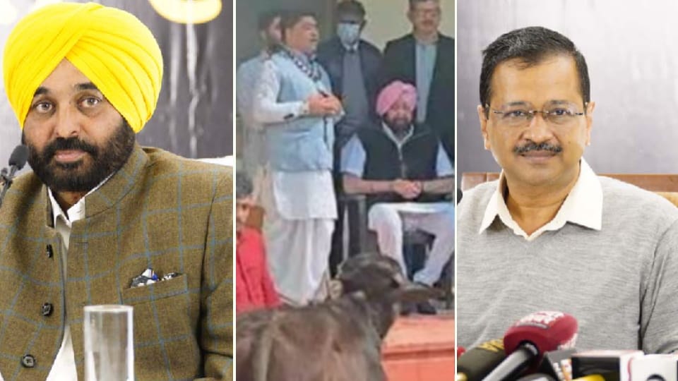 To ensure victory in election political Leaders of Punjab are rectifying the defects with the help of astrology.