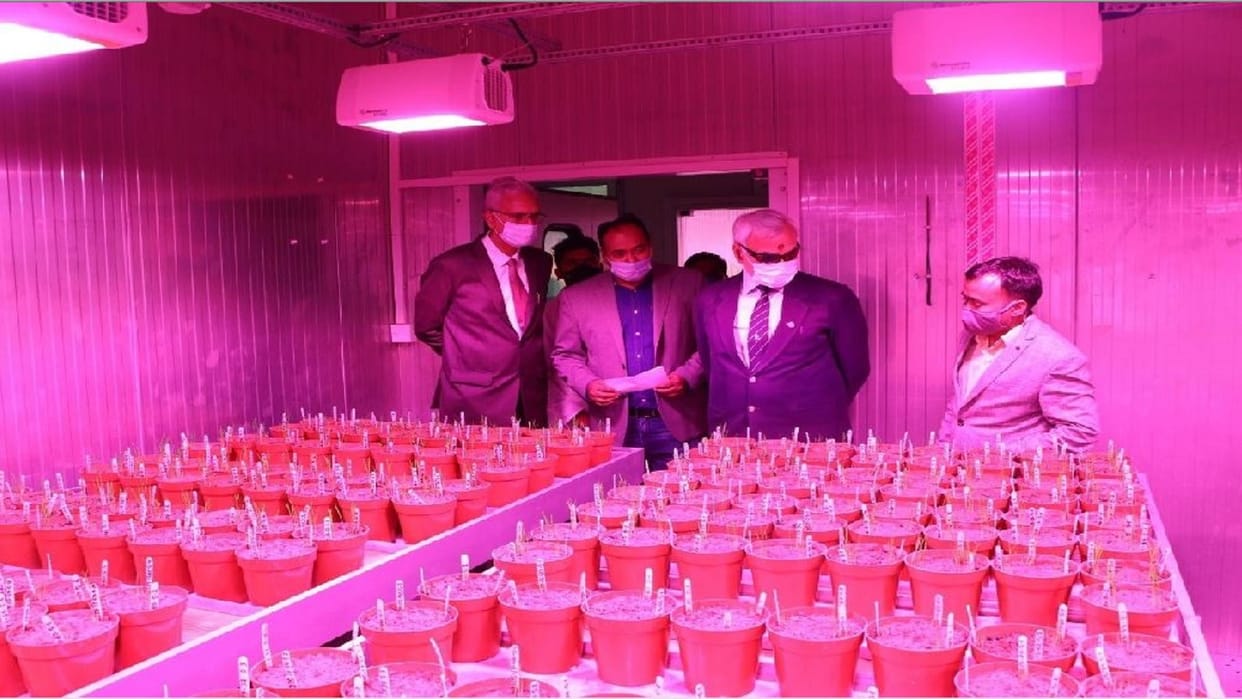 IRRI created rice knowledge bank in varanasi: hundreds of rice varieties included