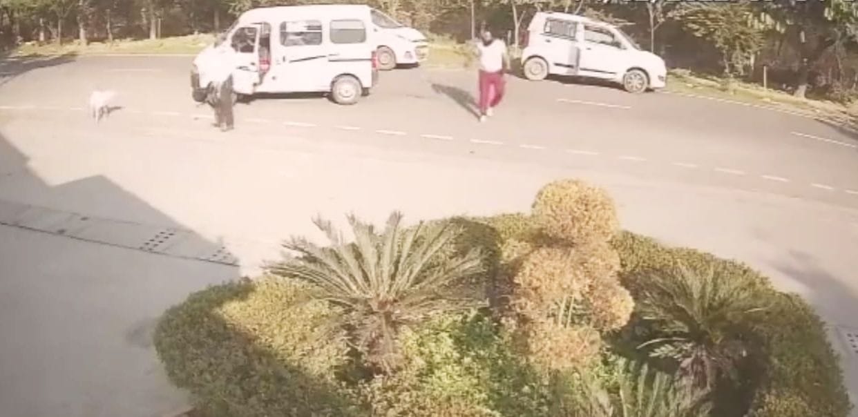Car riders accused of stealing dog, video goes viral