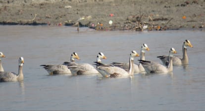 Weekend: Travelers reach Haridwar, Pravasi ready to fly,  See photos of Ganga Ghats