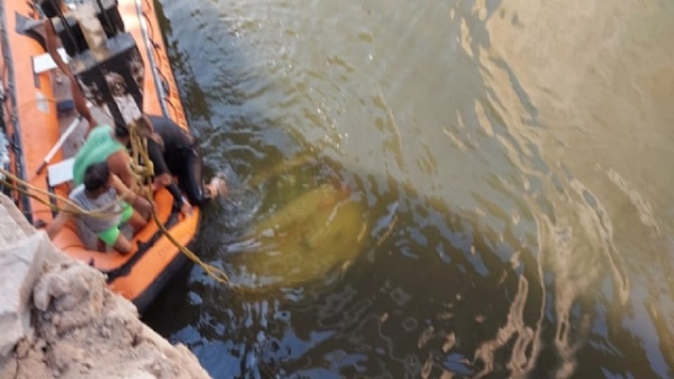 Car Fell Into Chambal River Kota, Many People Died in Accident including groom